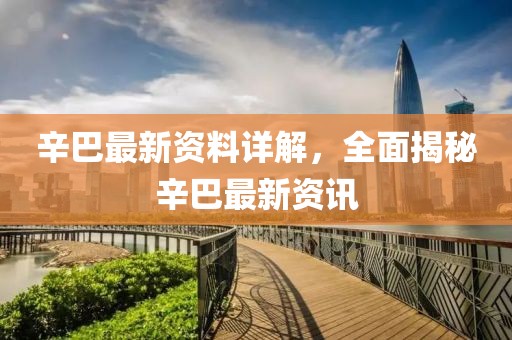 辛巴最新资料详解，全面揭秘辛巴最新资讯