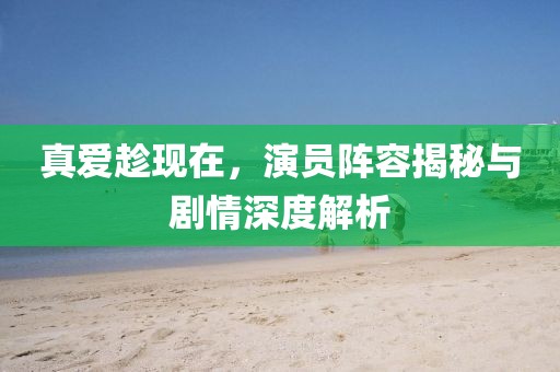 真爱趁现在，演员阵容揭秘与剧情深度解析