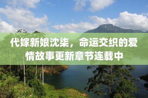 代嫁新娘沈柒，命运交织的爱情故事更新章节连载中