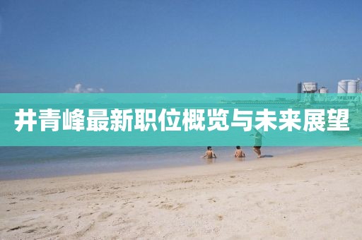 井青峰最新职位概览与未来展望