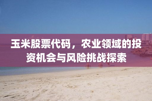 玉米股票代码，农业领域的投资机会与风险挑战探索