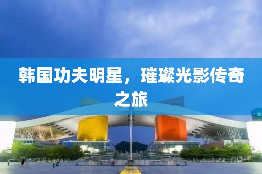 韩国功夫明星，璀璨光影传奇之旅