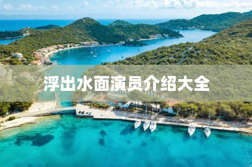 浮出水面演员介绍大全