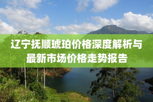 辽宁抚顺琥珀价格深度解析与最新市场价格走势报告