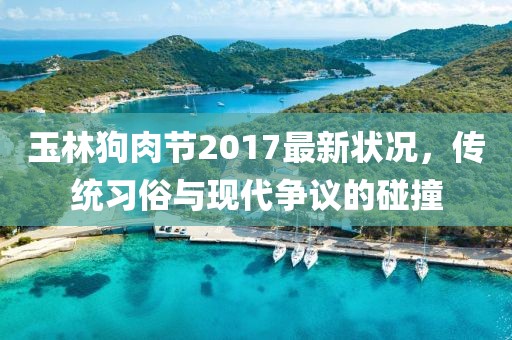 玉林狗肉节2017最新状况，传统习俗与现代争议的碰撞