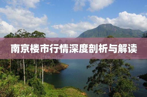 南京楼市行情深度剖析与解读