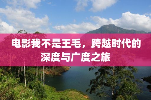 电影我不是王毛，跨越时代的深度与广度之旅