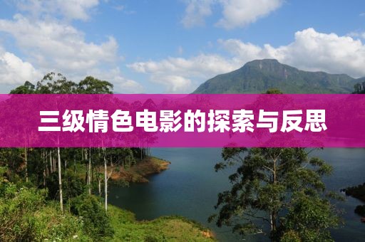 三级情色电影的探索与反思