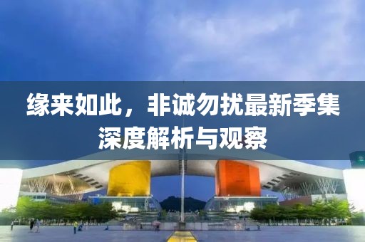 缘来如此，非诚勿扰最新季集深度解析与观察