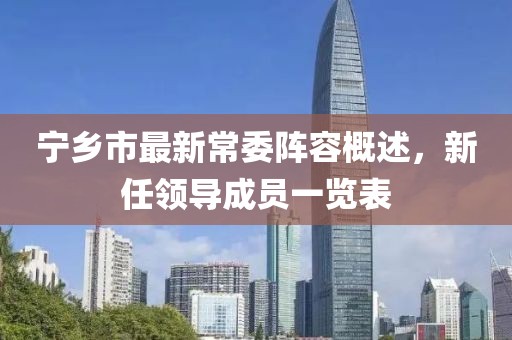 宁乡市最新常委阵容概述，新任领导成员一览表