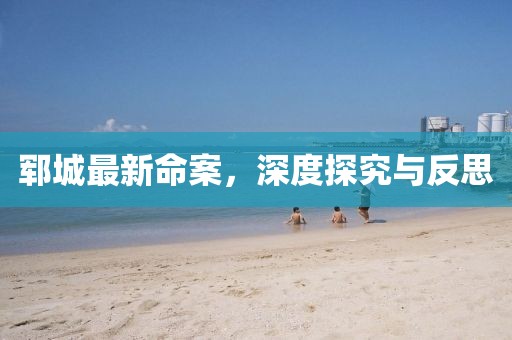 郓城最新命案，深度探究与反思