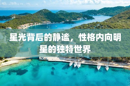 星光背后的静谧，性格内向明星的独特世界