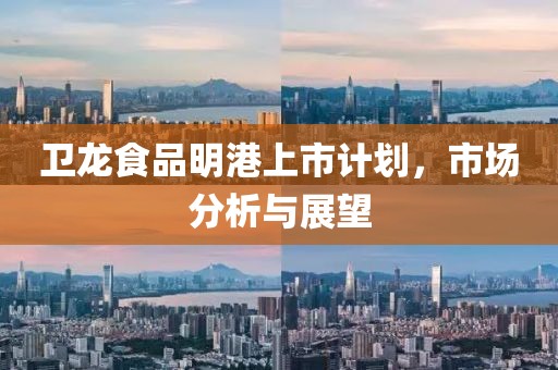 卫龙食品明港上市计划，市场分析与展望