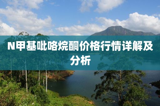 N甲基吡咯烷酮价格行情详解及分析