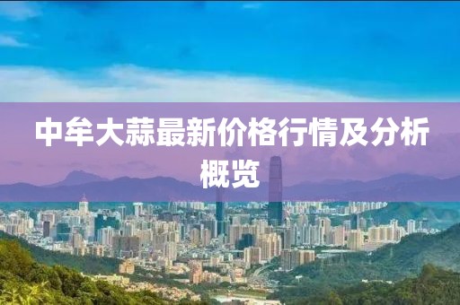 中牟大蒜最新价格行情及分析概览