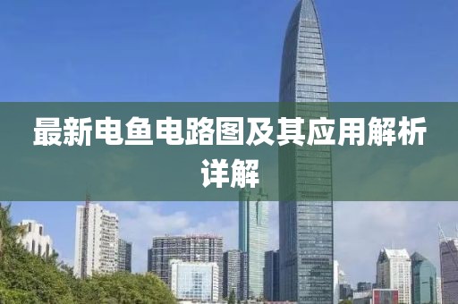 最新电鱼电路图及其应用解析详解