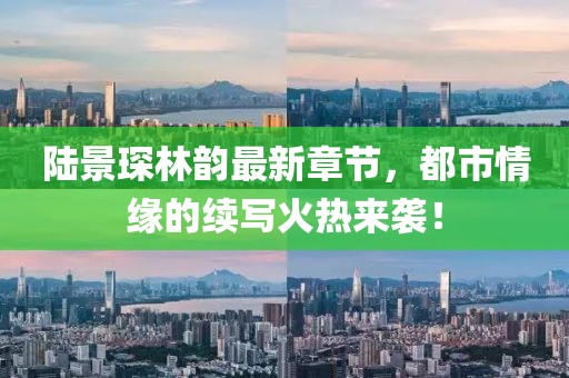 陆景琛林韵最新章节，都市情缘的续写火热来袭！