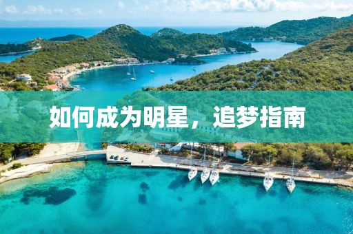 如何成为明星，追梦指南