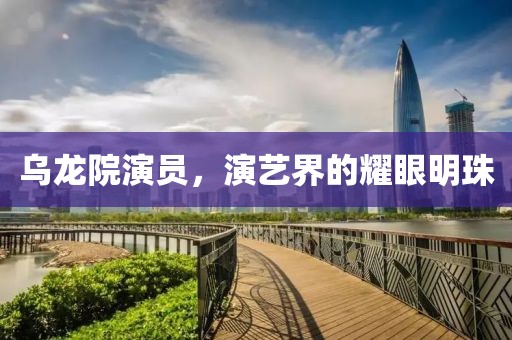 乌龙院演员，演艺界的耀眼明珠