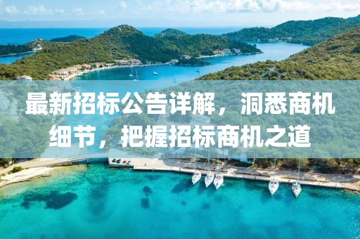 最新招标公告详解，洞悉商机细节，把握招标商机之道