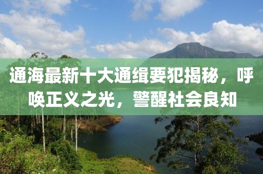 通海最新十大通缉要犯揭秘，呼唤正义之光，警醒社会良知