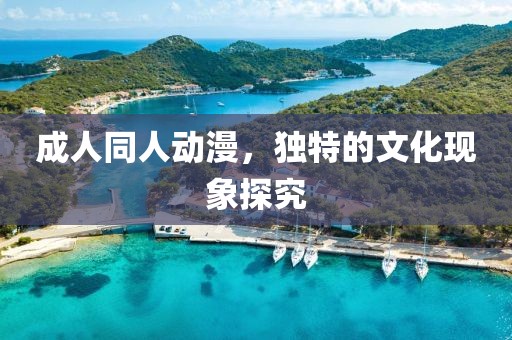 成人同人动漫，独特的文化现象探究