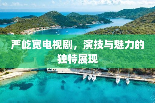 严屹宽电视剧，演技与魅力的独特展现