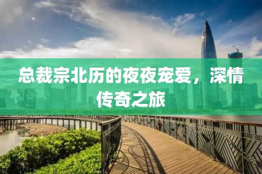总裁宗北历的夜夜宠爱，深情传奇之旅