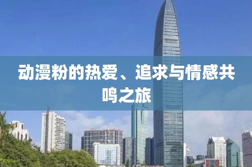 动漫粉的热爱、追求与情感共鸣之旅