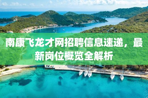 南康飞龙才网招聘信息速递，最新岗位概览全解析