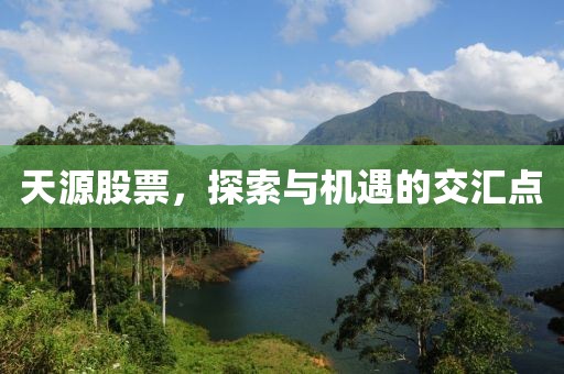 天源股票，探索与机遇的交汇点