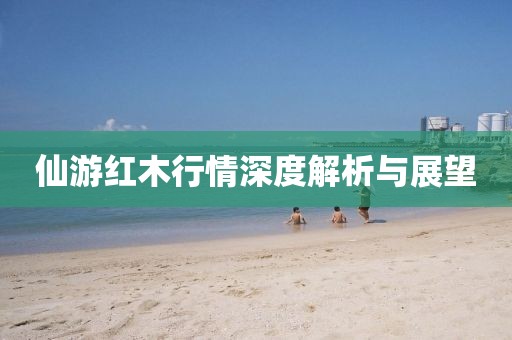 仙游红木行情深度解析与展望