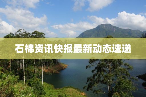 石棉资讯快报最新动态速递