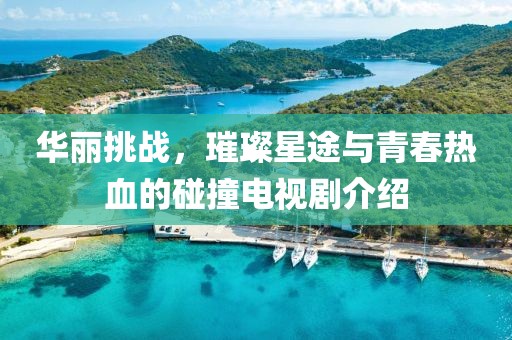 华丽挑战，璀璨星途与青春热血的碰撞电视剧介绍