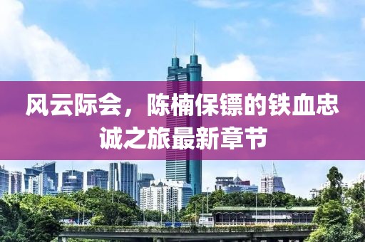 风云际会，陈楠保镖的铁血忠诚之旅最新章节