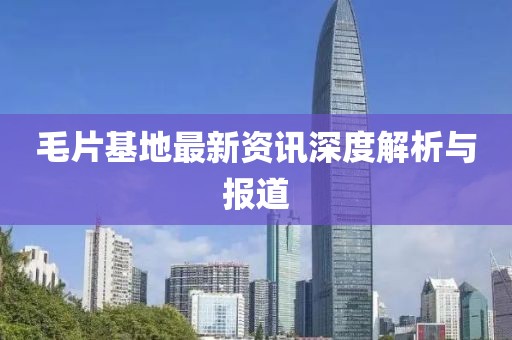 毛片基地最新资讯深度解析与报道