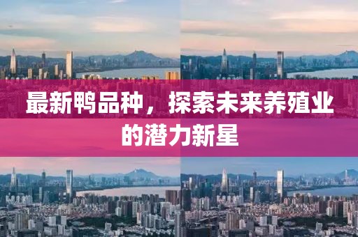 最新鸭品种，探索未来养殖业的潜力新星