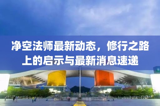 净空法师最新动态，修行之路上的启示与最新消息速递