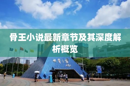 骨王小说最新章节及其深度解析概览