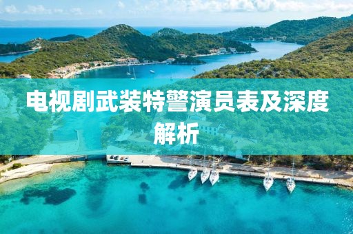 电视剧武装特警演员表及深度解析