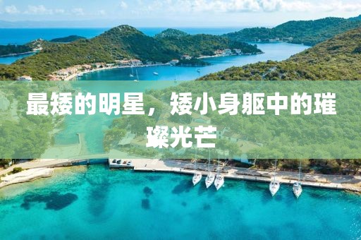 最矮的明星，矮小身躯中的璀璨光芒