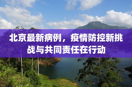 北京最新病例，疫情防控新挑战与共同责任在行动