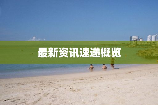 最新资讯速递概览