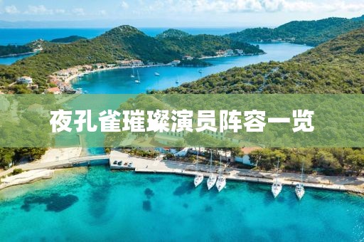 夜孔雀璀璨演员阵容一览
