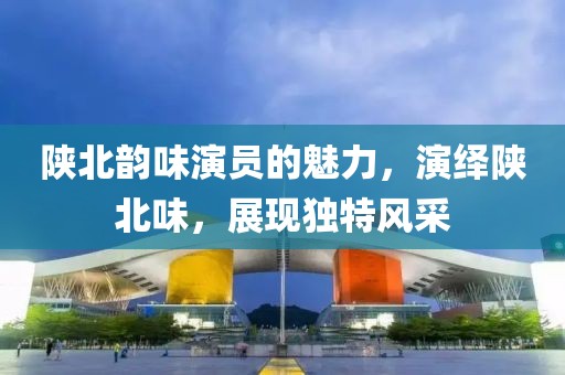 陕北韵味演员的魅力，演绎陕北味，展现独特风采