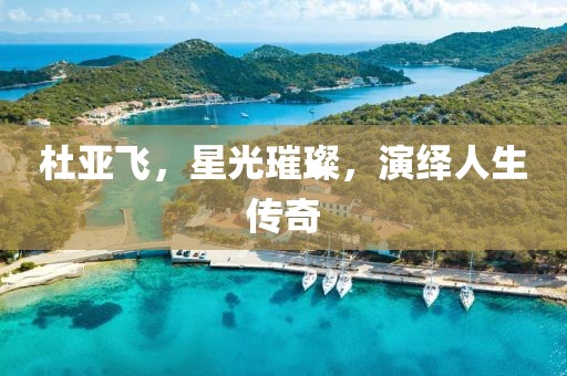 杜亚飞，星光璀璨，演绎人生传奇
