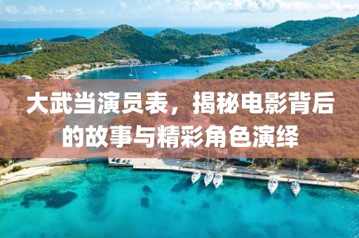大武当演员表，揭秘电影背后的故事与精彩角色演绎