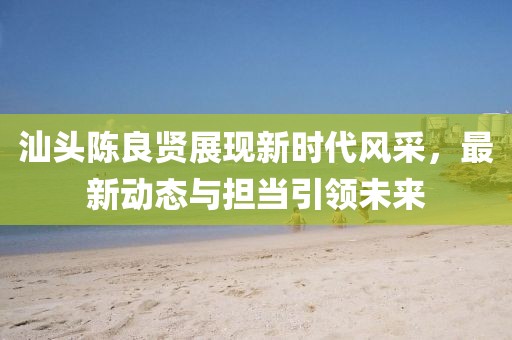 汕头陈良贤展现新时代风采，最新动态与担当引领未来