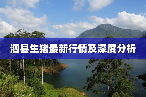 泗县生猪最新行情及深度分析