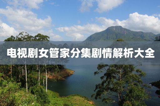 电视剧女管家分集剧情解析大全